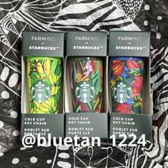 スターバックス　FARM RIO + STARBUCKS コラボ キーチェーン スターバックス FARM RIO + STARBUCKS コラボ キーチェーン