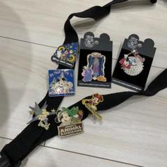 レア品 フロリダ ディズニー ピンバッジ13点 フロリダ ディズニーワールド ベル ピンバッジ - メルカリ