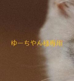 ゆーちやん様専用