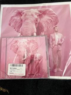 米倉利紀様✨pink elephant