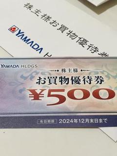 YAMADA ヤマダ電機 株主優待のサムネイル