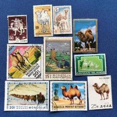 世界の駱駝（ラクダ）図柄の切手１０種　うちモンゴルが４種　癒されます！ 世界の駱駝（ラクダ）図柄の切手10種 うちモンゴルが4種 癒