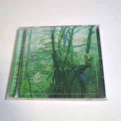 ドリーム・ドルフィン/遠い海の記憶 0000000182882_rv0biQ2.jpg
