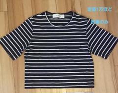 ボーダー Tシャツ ルシェルブルー　美品のサムネイル
