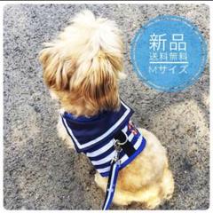 ストライプ柄 Mサイズ ペット服 リード付き