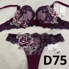 salute サルート 82G　82グループ　IV　セット　C65 M salute サルート 82G 82グループ IV セット C65 M