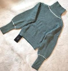 ✨未使用品✨ Kastane タートルネック ボーダーニット ショート丈 F