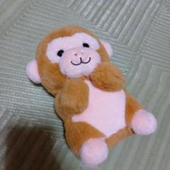 ハッピーズー　ぬいぐるみくじ　3等　コアラ 水族館や動物園の1000円ぬいぐるみくじを作っている会社7つの