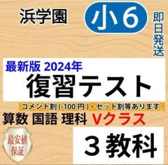 浜学園　最新版　2024年　小6　復習テスト　Vクラス　算国理　1年分