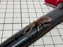 フライ用疑似餌 ④ 2個セットのサムネイル