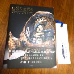 ☆COSMOS 植田明志 造形作品集☆ サイン本 - メルカリ