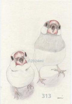 色鉛筆画 文鳥 (原画) 文鳥画 色鉛筆 原画 キャルルル 桜文鳥とブルースター – 小鳥