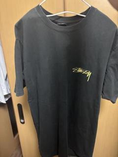 Stussy/ステューシー　Statue Pig Dyed Tee ブラック