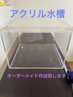 ピロオーダー品アクリル水槽 m58053633434_1.jpg?1664447993