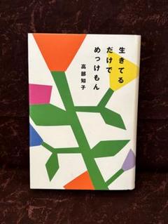 レア 希少 フライヤー 映画チラシ 積木くずし 高部知子 渡辺典子