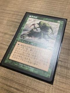 MTG / デッキパーツ / レガシー / ホガークポックス MTG / デッキパーツ / レガシー / ホガークポックス