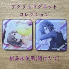 新品未使用 プロセカ アクリルマグネットコレクション 東雲絵名 2個セットのサムネイル