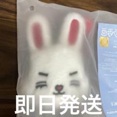 seventeen ミニティーン　チェチェリー　エスクプス　ポーチ　2025 seventeen ミニティーン チェチェリー エスクプス ポーチ 2025