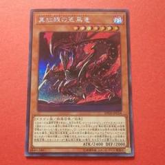 2025年最新】真紅眼の亜黒竜の人気アイテム - メルカリ