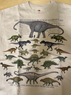 ヘインズ　恐竜　tシャツ