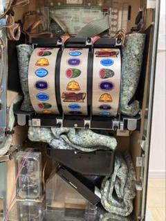 龍玄さま専用　スロット　転生　北斗の拳　一台 龍玄さま専用 スロット 転生 北斗の拳 一台 - メルカリ