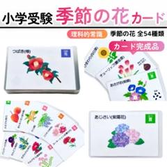 2025年最新】伸芽会 家庭学習の人気アイテム - メルカリ