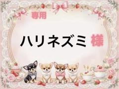 専用