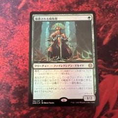 敬慕される腐敗僧　英語拡張foil 4枚セット 日)敬慕される腐敗僧 / Venerated Rotpriest【ONE】 【Foil】 No