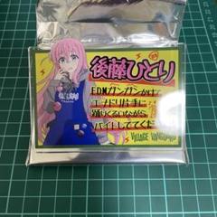 ぼっちざろっく ヴィレッジヴァンガード アクリルバッジ 後藤ひとり