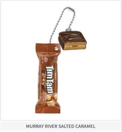 ガチャ　ティムタム　 TimTam ミニチュアチャーム　オーストラリアみやげのサムネイル