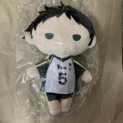 ハイキュー‼︎ ぬいぐるみペンポーチ 赤葦 ジャンプフェスタ限定 ショウワノート ハイキュー‼︎ ぬいぐるみペンポーチ 赤葦 ジャンプフェスタ限定