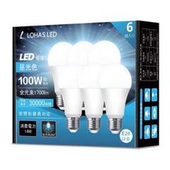 ⭐️在庫処分⭐️ロハス LED電球 E26口金 100W形相当 昼光色 6個入り