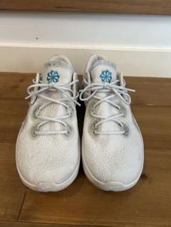 【美品】NIKE FLEX 2021 RUN（29cm）