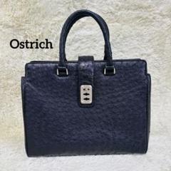 2025年最新】OSTRICH 付属品：ショルダーストラップ