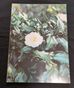 A-CHANG 写真集 Picture アーチャン 2002年 A-CHANG 写真集 Picture アーチャン 2002年 - メルカリ