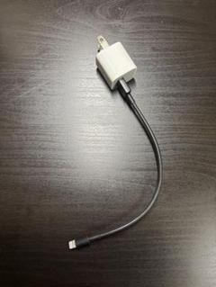typeAケーブルホワイト