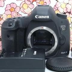 ❤堅牢の5D系列❤キヤノン EOS 5D mark IV❤ Amazon.com : Canon EOS 5D Mark IV DSLR Camera (1483C002