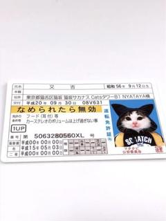 2025年最新】免許証 ゴールド なめ猫の人気アイテム - メルカリ