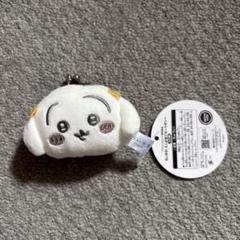 ちいかわ　ミニがまぐち〜リボン〜　うさぎ