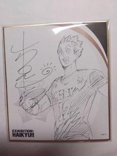 ハイキュー!! MSBY 限定500枚サイン入りイラスト最終値下げ価格‼️‼️‼️‼️‼️ 71sprpRM1-L._UF350,350_QL50_.jpg