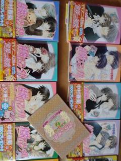 純情ロマンチカ 漫画 小説 まとめ売り 純情ロマンチカ 漫画 小説 まとめ売り