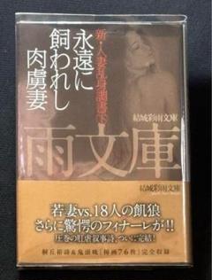 絶版】SM秘小説88年2月～90年4月 人妻乱身調書④結城彩雨(桐丘裕詩&鬼頭暁 2025年最新】桐丘裕詩の人気アイテム - メルカリ