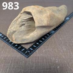 四万十川流木　983のサムネイル