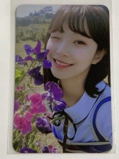 fromis_9 ジホン トレカ ネームタグ 証明写真