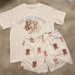 【最終値下げ】GELATO PIQUE ルームウェア プードル　新品未使用 セール】トイプードルジャガードプルオーバー（ルームウェア