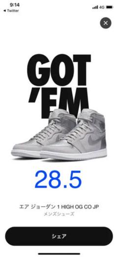 NIKE AIR JORDAN 1 HIGH OG CO.JP 28.5㎝