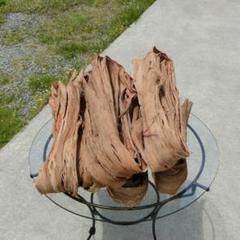 フクミミ　青森岩木山産 山葡萄 皮 樹皮 約3kg フクミミ様専用青森岩木山産 山葡萄 皮 樹皮 約3kg