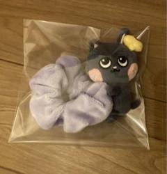 riize ウォンビン　ミニドール、シュシュ、ドールポーチ、フォトホルダー DOLL POUCH SET | SMTOWN OFFICIAL ONLINE STORE