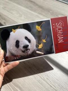 可愛いシャンシャンのハガキ〜10枚入りで、中国での様子がわかる