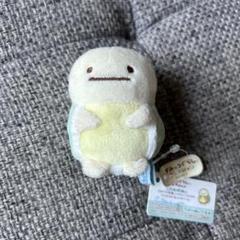 すみっコぐらし　てのりぬいぐるみ　うみがめ　レア レア 希少 すみっコぐらし てのりぬいぐるみ うみがめ ボート